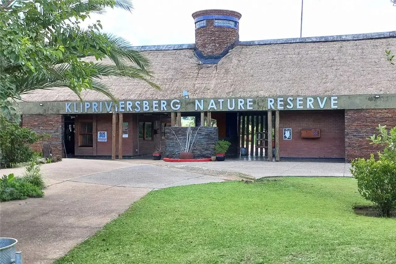 Rediscover Peace in Nature